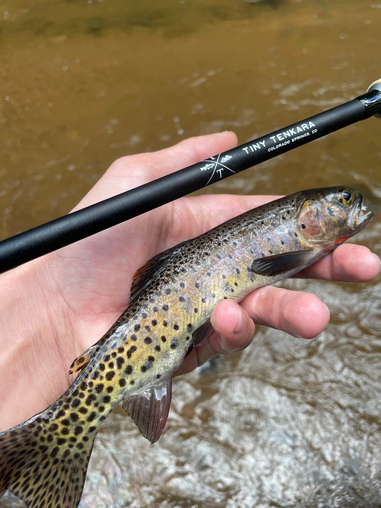 Tiny Tenkara 3